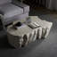 Table basse 48,62 po-1737133443