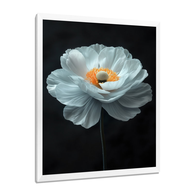 Blanc, jaune, souci élégant, simplicité, photo - souci, décoration murale, H 24 po x l 32 po, Cadre simple blanc, bois massif