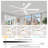 60'' 5 Blade Dc Motor Ceiling Fan With Led Light And Remote-1721163038