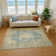 Premium Machine Washable Honig AMF1657 Global Rug