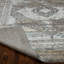 Kher Oriental Area Rug in Gray-381822534