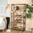 Fir Wood 4-Shelf Accent Bookcase