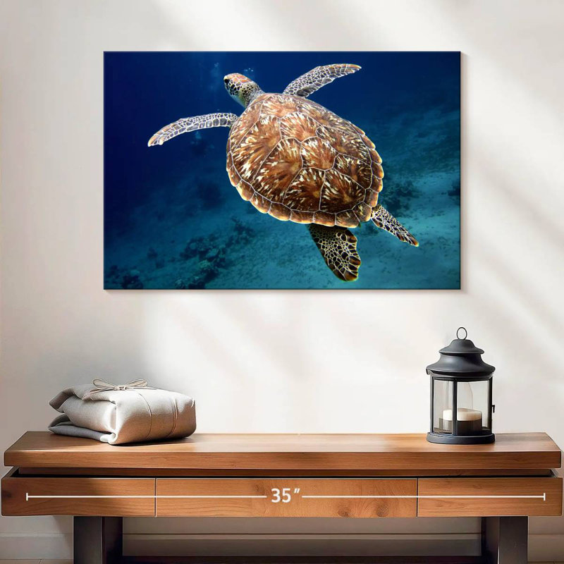Brampt Swimming Turtle, 16" H x 24" W
