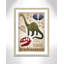 Adhésif décoratif dinosaures-03 '-47836223-47836233