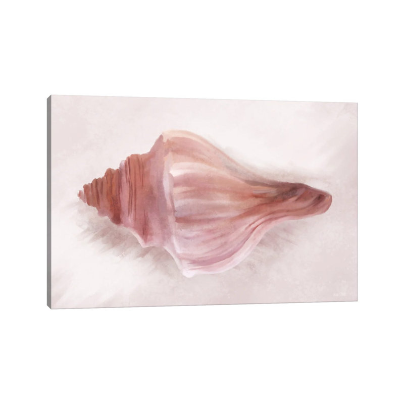 Conch Shell Blush I by House Fenway - Wrapped Canvas Gallery-Wrapped Canvas Giclée, 30.48 cm H x 45.72 cm W