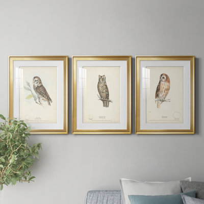 «Little Owl», reproduction encadrée de qualité supérieure - prête à être accrochée