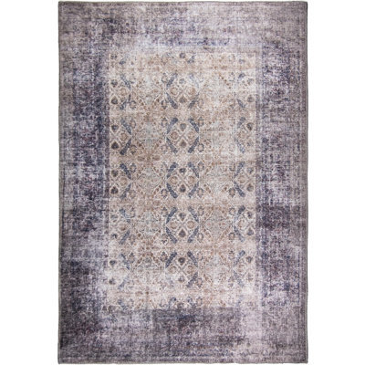 Jessiel Washable Oriental Indoor Rug