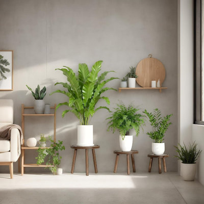 Mid-Century Modern Wood Plant Stand – Tall Indoor Flower Pot Riser for Living Room & Balcony