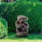 Outdoor Floor Fountain with Lights-138282194-148518357