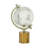 Tabletop Globe-1277926319