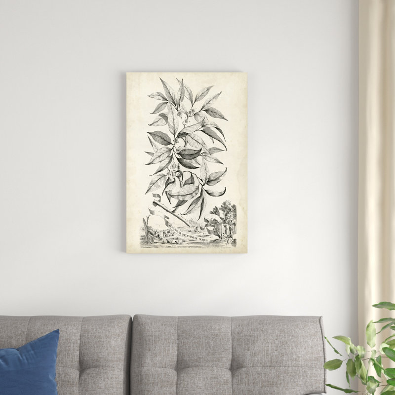 «Scenic Botanical IV», impression sur toile, H 30 po x l 20 po
