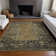 Machine Washable Indoor/Outdoor Xhevrie Brown Rug