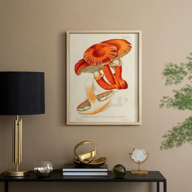 Reproduction encadrée Mushroom Variétés VII - bois massif, H 15 po x l 12 po