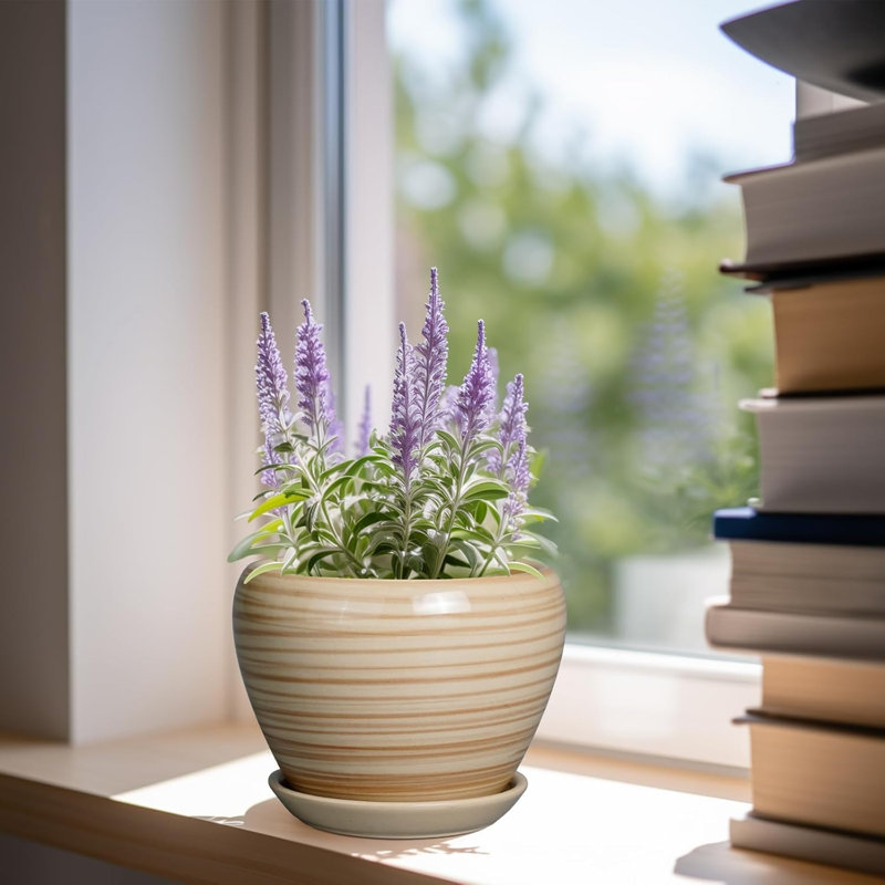 6 Inch Yellow Ceramic Succulent Planter Pot