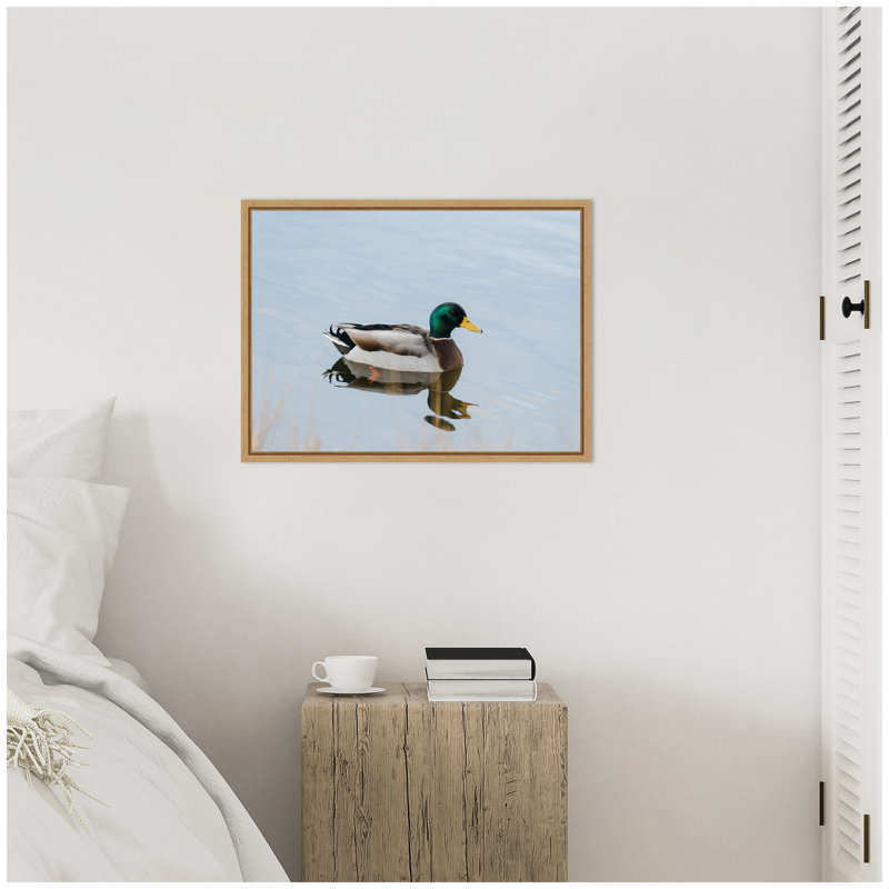 «Corrales Mallard Duck» par Barratt, reproduction d'art sur toile encadrée