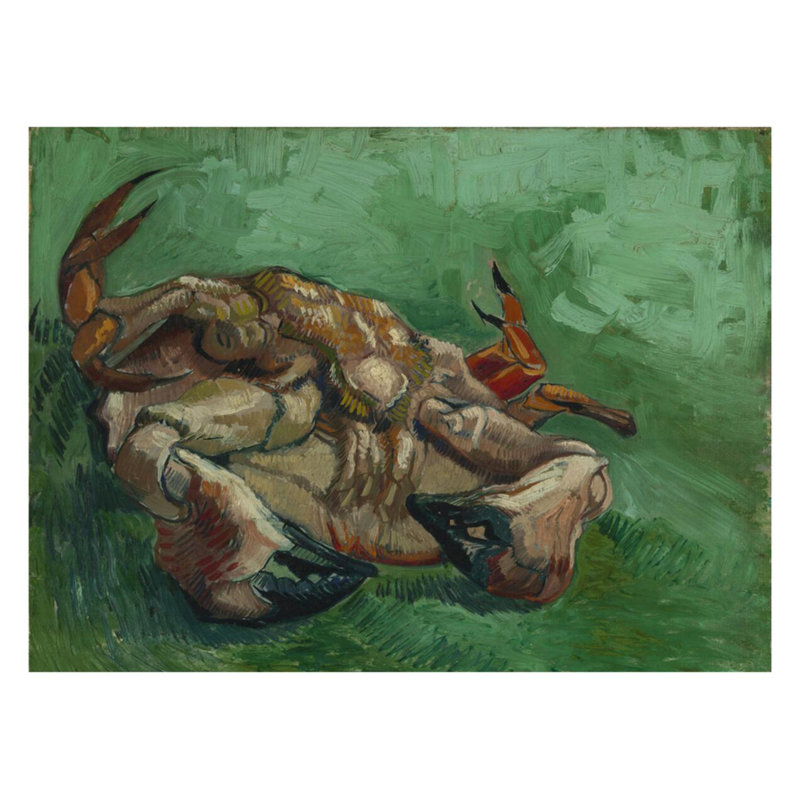 Un crabe sur son dos par Vincent Van Gogh - Impression Giclée, H 22 po x l 28 po