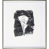 Silver Flower - Calla Lily Print by Robert Robinson