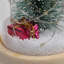 Christmas Novelty & Humour Snow Globe
