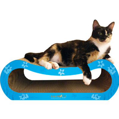 Anton Scratching Post