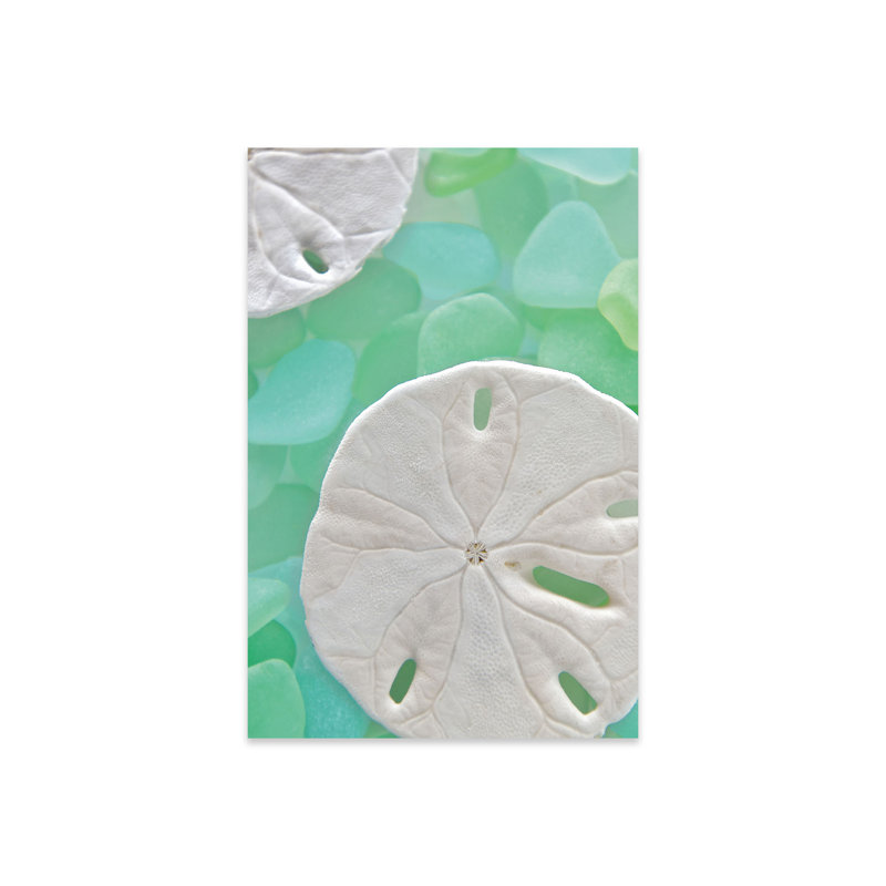 «Seaglass 5 On Plastique / Acrylique» par Alan Blaustein, peinture