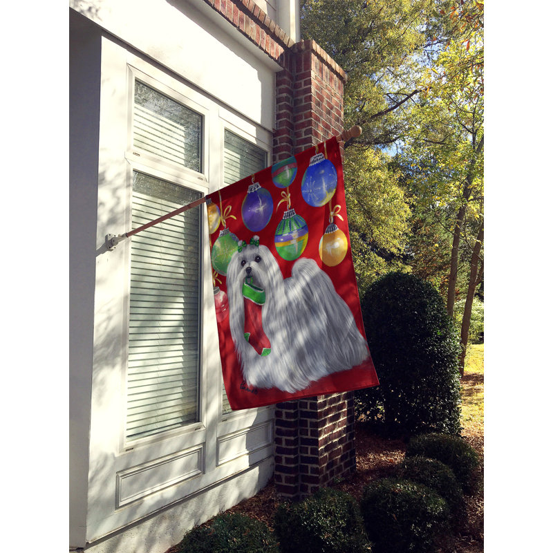 Drapeau de maison Hvidovre Sheltie Halloween en polyester à 2 faces 3 x 2 pi, Bichon maltais bas de Noël