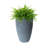 Callan Tall Double Walled Pot Planter-109660942-31104992