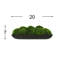 Moss Preserved in Oblong Planter-2127730664