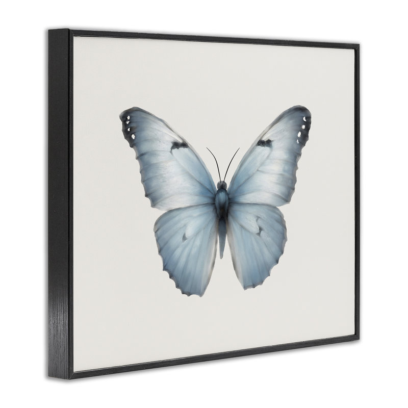Art giclée sur papillon bleu symétrique par Elizabeth Medley, Giclée encadrée noir minuit, H 11 po x l 14 po