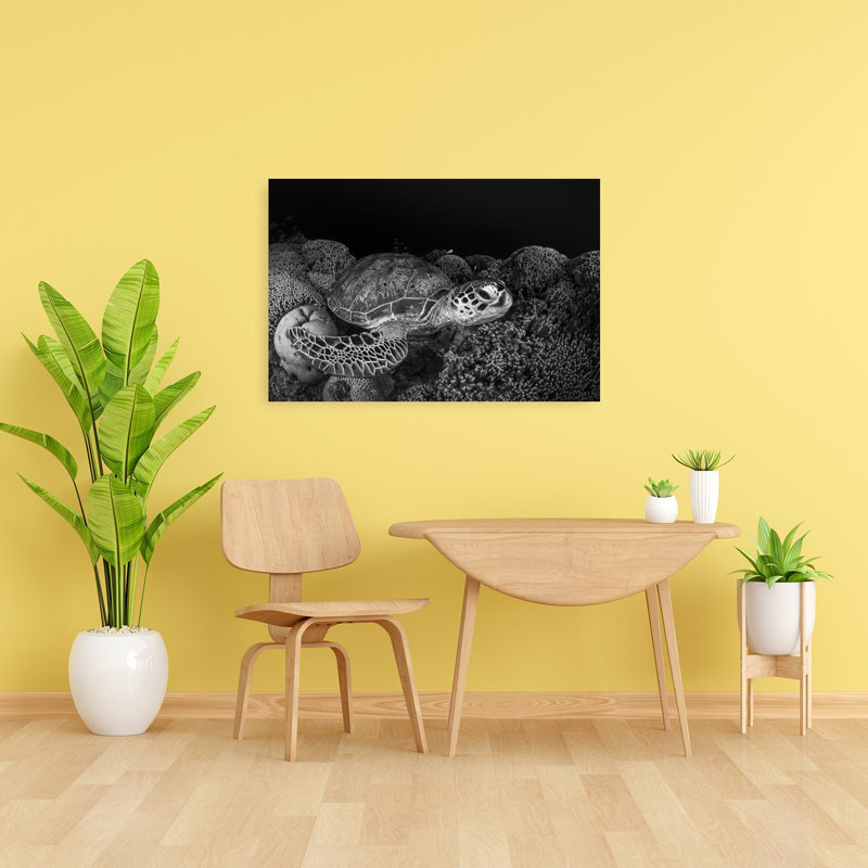 Serene Sea Turtle Peaceful Serene Contemporary Turtle Nature Ocean Wall Art Print 1 Piece Wrapped Canvas Wall Art