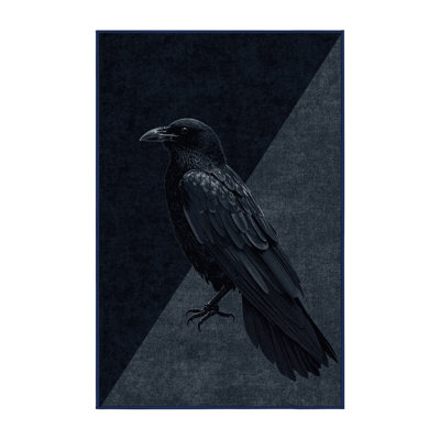 Soft Plush Evenson Halloween Modern & Contemporary Abstract Area Rug in Gray – Navy Binding