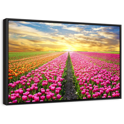 Impression sur toile Tulip Flower Field