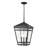 17 Stories Evonne 3 Light Outdoor Hanging Lantern in Textured Black with Clear Glass Shade