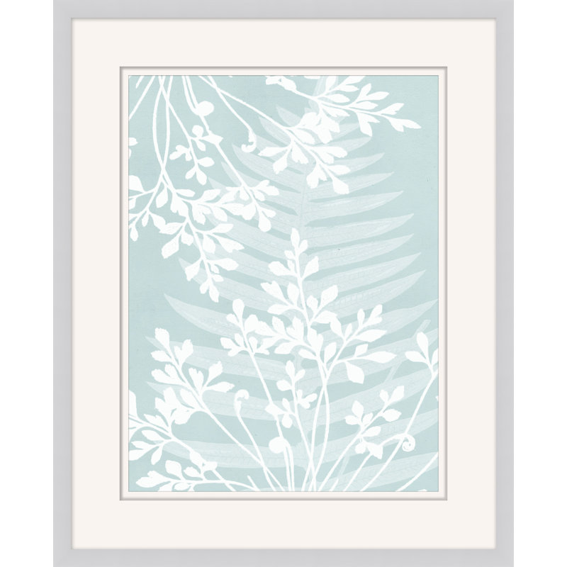 Delicate Fern Assimilation 1 Print