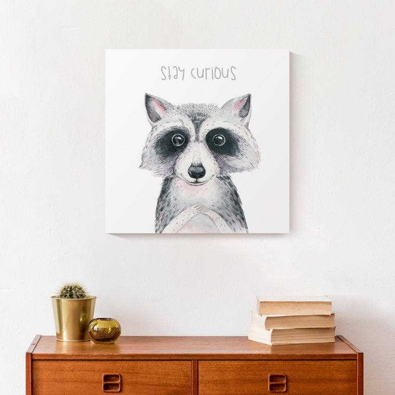 Art sur toile, raton laveur stay Curious