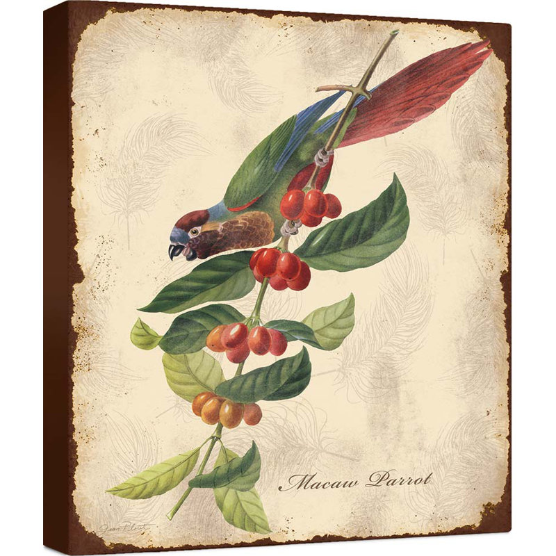 « rétro oiseau study h », reproduction d’art sur toile tendue