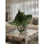 Monstera Leaves and Driftwood in Moon Vase
