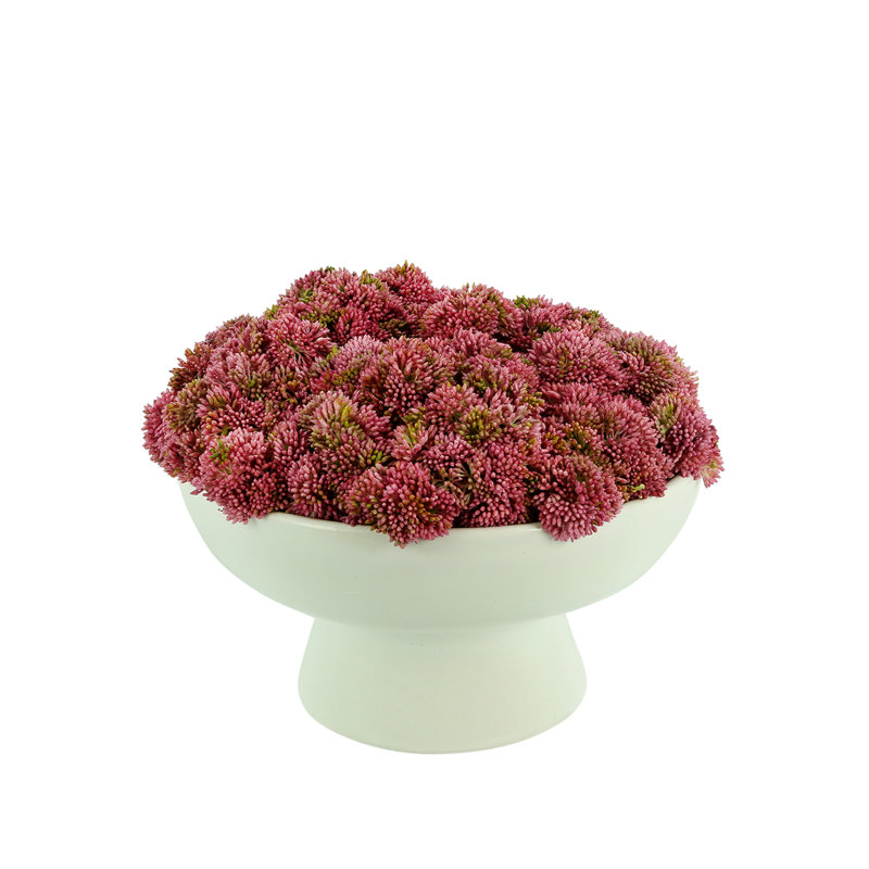 Sedum Arrangement in Ceramic Pedestal Vase, Pink