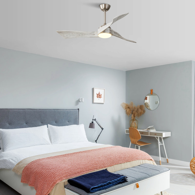 Ventilateur de plafond 51,96, Nickel brossé