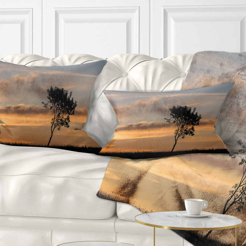 Throw Pillow