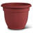 Traditional Self-Watering Plastic Indoor/Outdoor Pot Planter-1925399694-1921265540