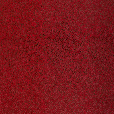 Papier peint Shagreen