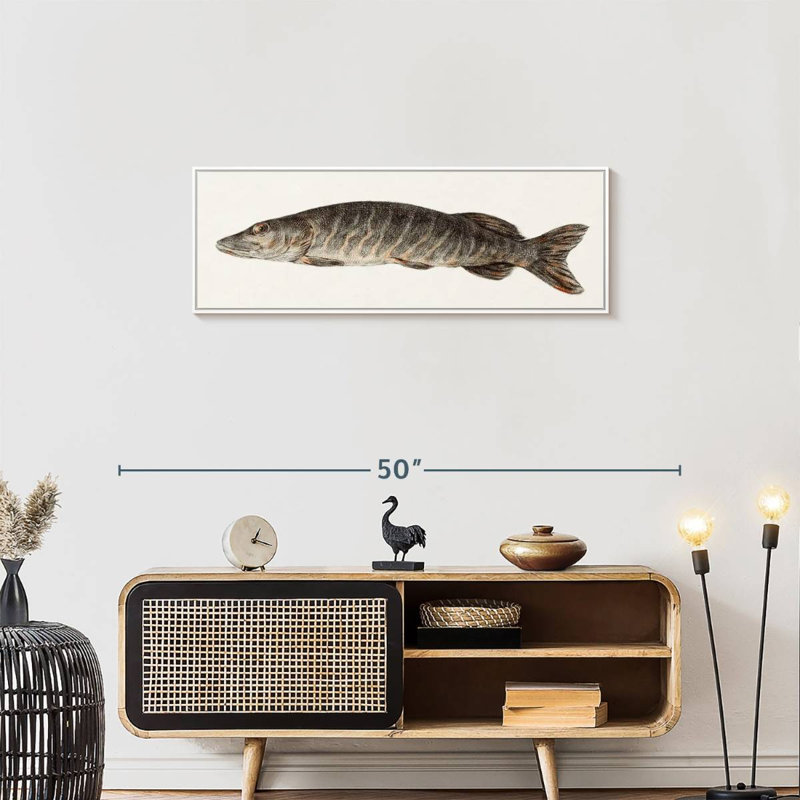 Brochet, 37" X 13", Floating Frame White