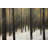 Silent Forest - Holidays Snow Framed Matted Print for Decor