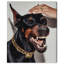 Baby Doberman Print by Oliver Gal-2008815691-2008815710