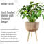 GAIA Tall Indoor Plant Pot Stand for House Plants with Waterproof Liner | Natural Wooden House Planter with Legs -92659218
