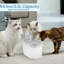 Fontaine d'eau pour chat avec capteur de mouvement PETMAker-126556091-126556093