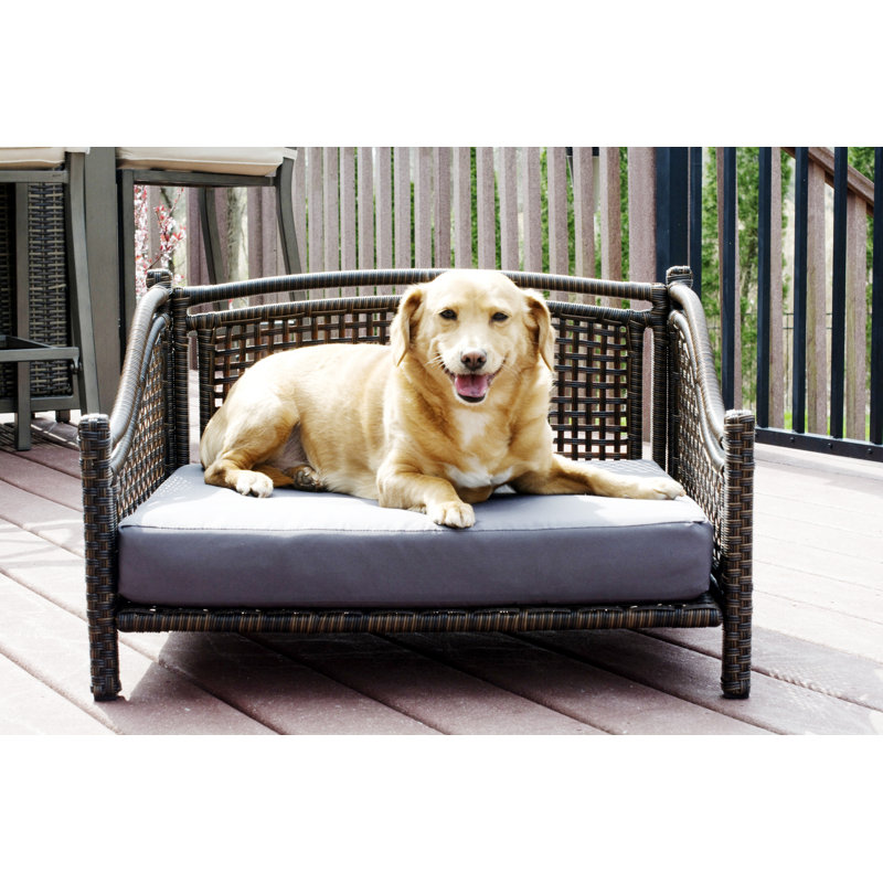 Tucker Murphy Pet™ Howser Maharaja Rattan Dog Sofa & Reviews | Wayfair