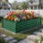 Galvanized Raised Garden Bed With Gloves-2022981670-2022981672