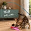 Ce kit de jouet interactif à plumes comprend 2 baguettes rétractables et 10 embouts de rechange avec des recharges de clochettes, formant un dispositif de capture et d'exercice pour les chatons.