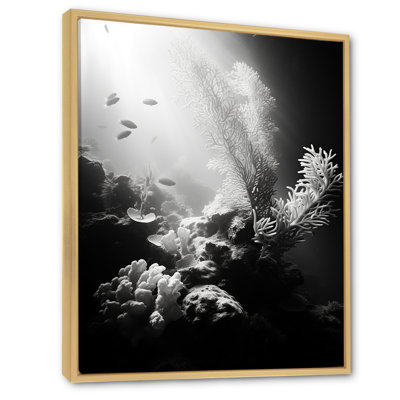 «Black and White Underwater Silent Flow II», impressions sur toile plage et océan